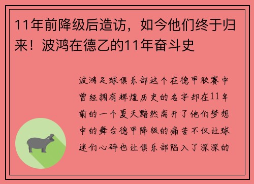 11年前降级后造访，如今他们终于归来！波鸿在德乙的11年奋斗史