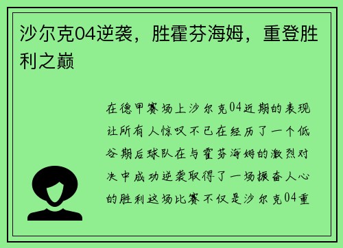 沙尔克04逆袭，胜霍芬海姆，重登胜利之巅