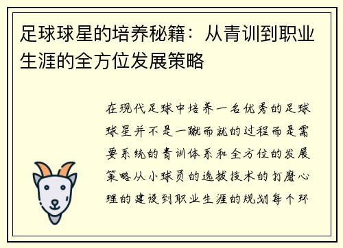 足球球星的培养秘籍：从青训到职业生涯的全方位发展策略