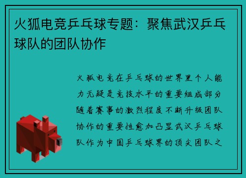 火狐电竞乒乓球专题：聚焦武汉乒乓球队的团队协作